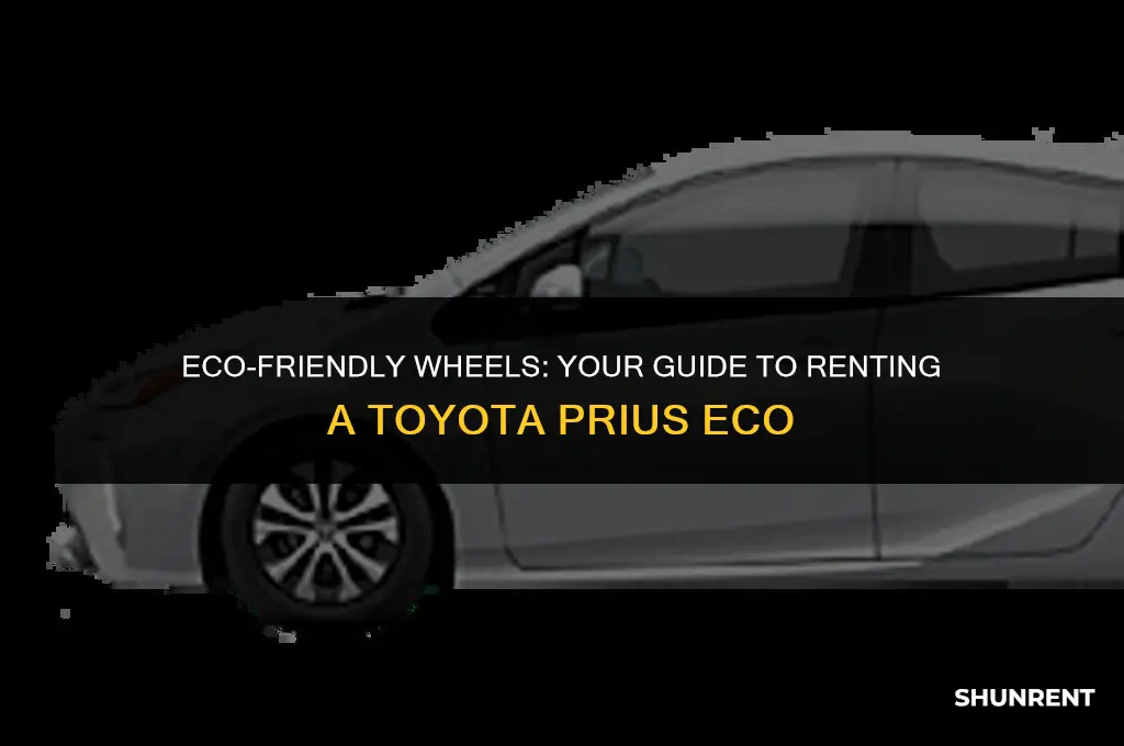 where to rent a toyota prius eco