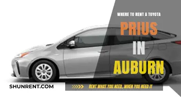 Top Spots to Rent a Toyota Prius in Auburn, WA