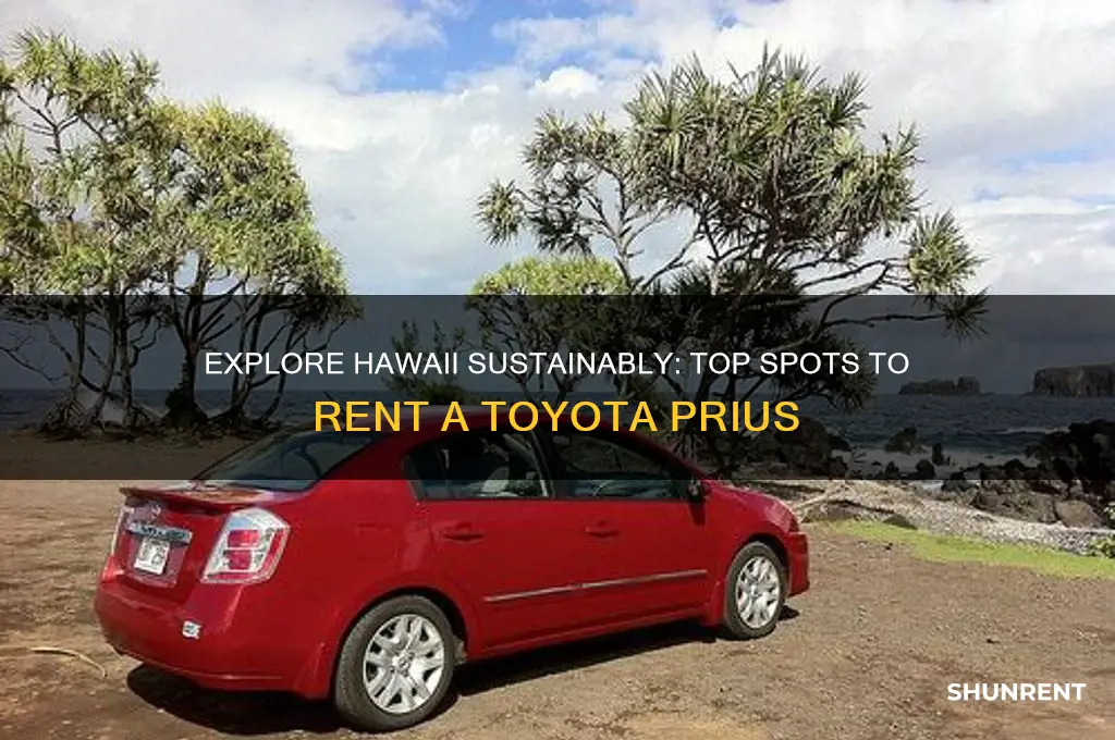 where to rent a toyota prius in hawaii