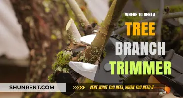 Where to Rent a Tree Branch Trimmer: A Comprehensive Guide
