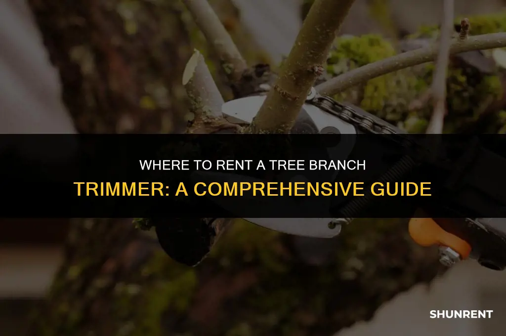where to rent a tree branch trimmer