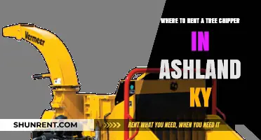 Renting a Tree Chipper in Ashland, KY: Top Local Options