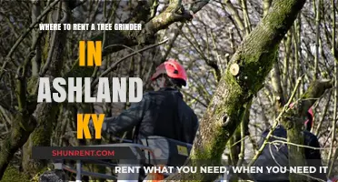 Renting a Tree Grinder in Ashland, KY: Top Local Options