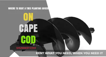 Rent a Tree Planting Auger on Cape Cod: Top Locations