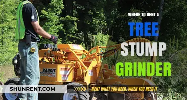 Renting a Tree Stump Grinder: Top Locations and Tips for Success