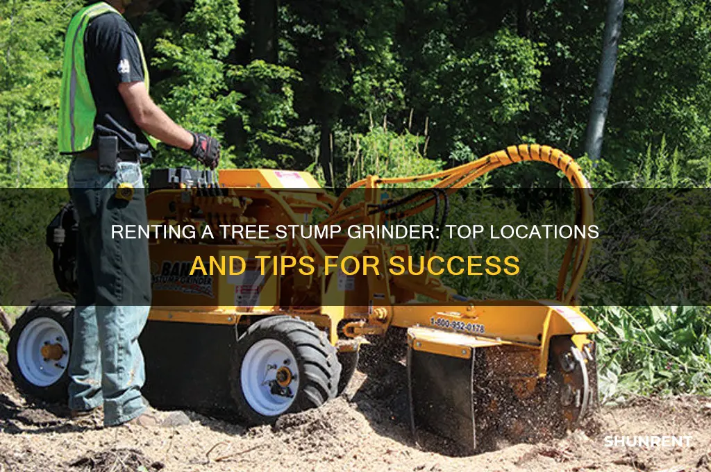where to rent a tree stump grinder
