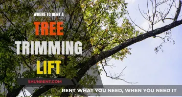 Elevate Your Yard Work: Where to Rent a Tree Trimming Lift