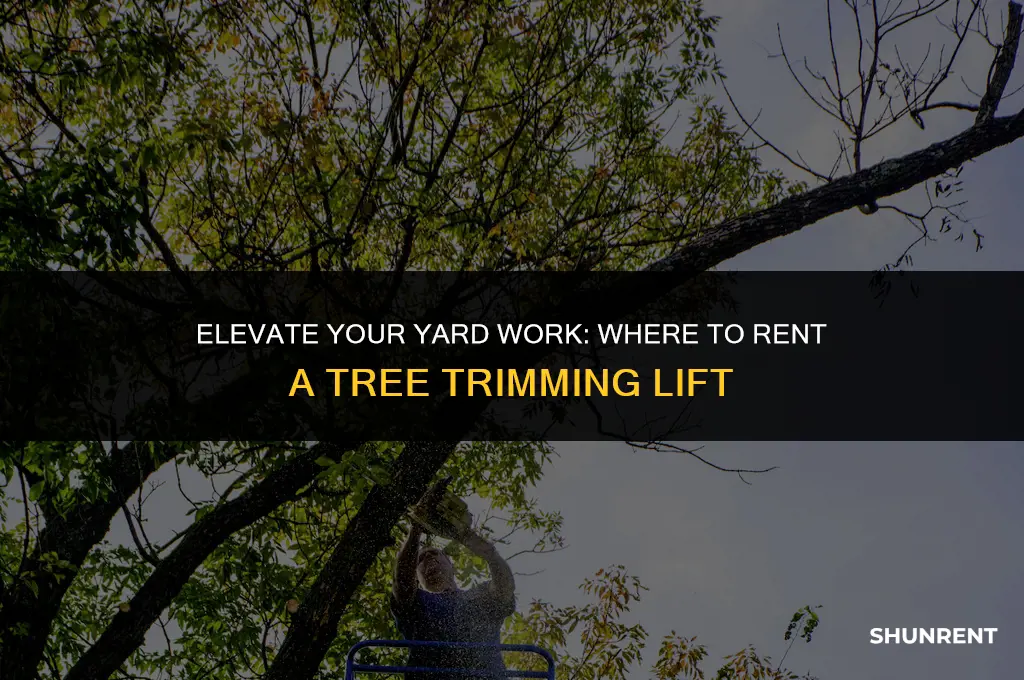 where to rent a tree trimming lift