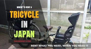 Exploring Japan on Three Wheels: Your Guide to Tricycle Rentals