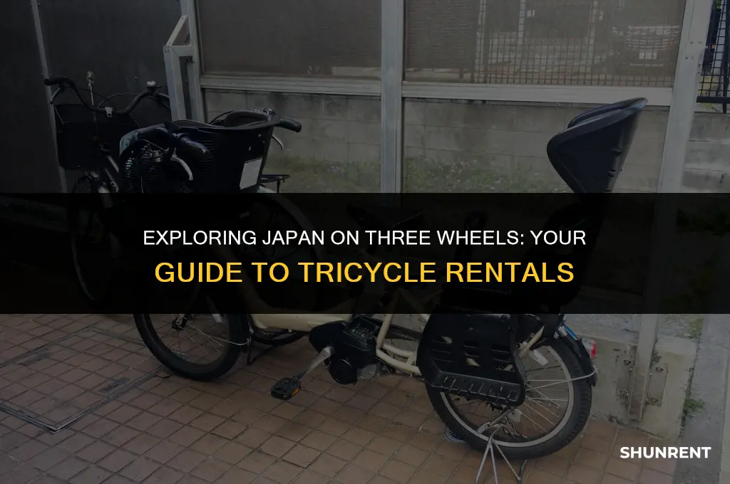 where to rent a tricycle in japan
