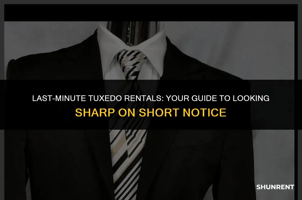 where to rent a tuxedo last minute