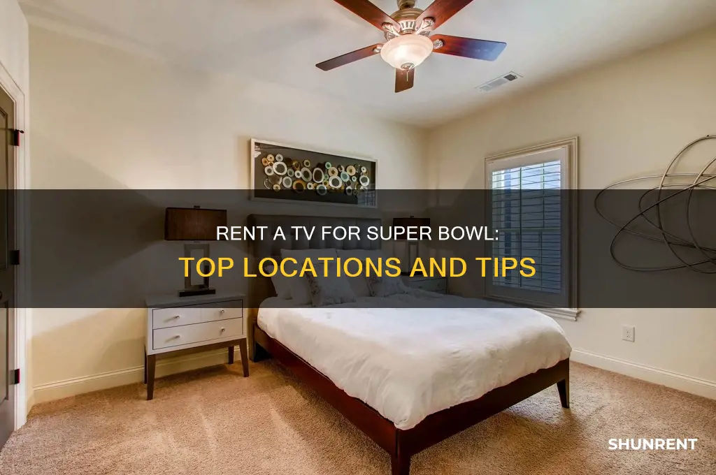 where to rent a tv for super bowl