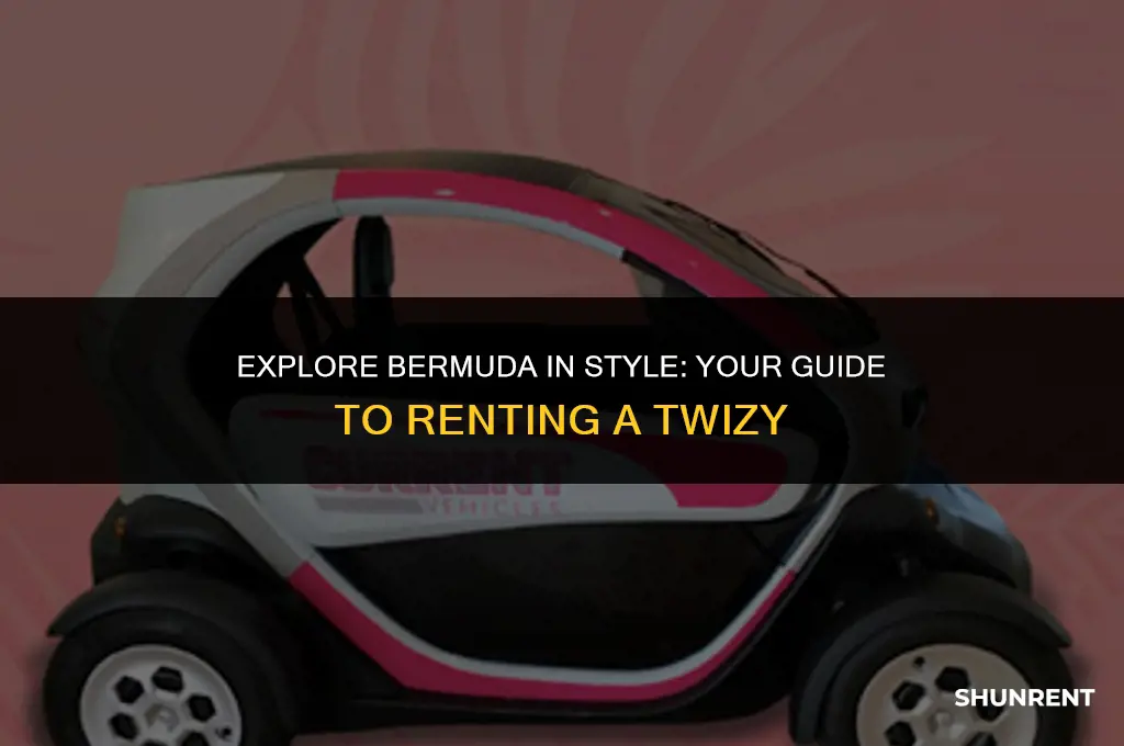 where to rent a twizy in bermuda