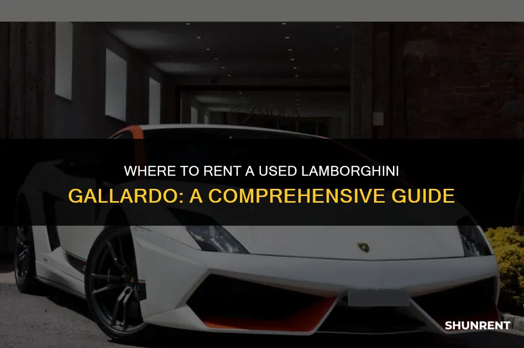 where to rent a used lamborghini gallardo