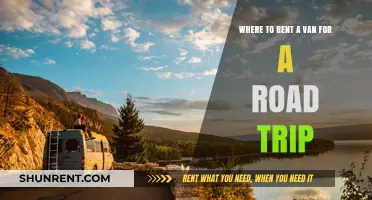 Top Van Rental Options for Your Ultimate Road Trip Adventure