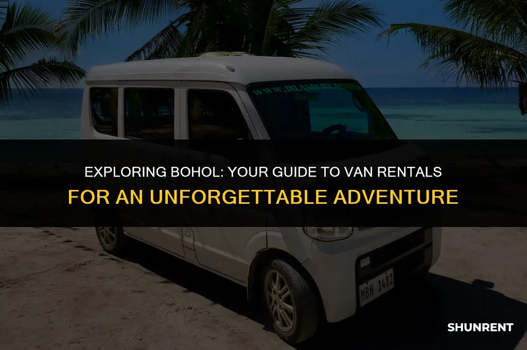 where to rent a van in bohol
