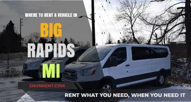 Top Vehicle Rental Options in Big Rapids, MI: Your Ultimate Guide