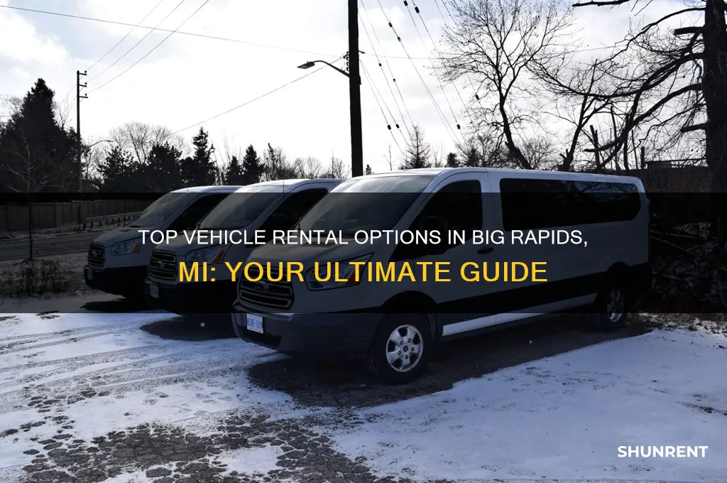 where to rent a vehicle in big rapids mi