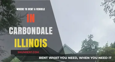 Top Car Rental Options in Carbondale, Illinois: Your Ultimate Guide