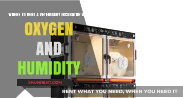 Renting Veterinary Incubators: Optimal Oxygen and Humidity Solutions for Pet Care