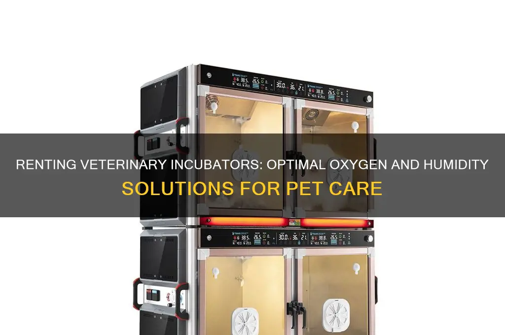 where to rent a veterinary incubator unit oxygen and humidity