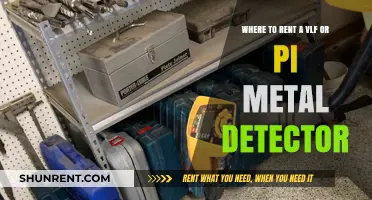 Top Locations to Rent VLF or PI Metal Detectors for Treasure Hunting