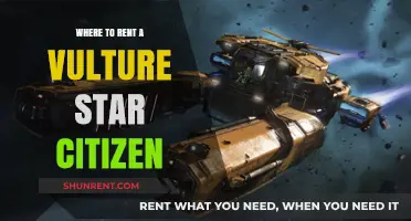 Where to Rent a Vulture in Star Citizen: A Comprehensive Guide