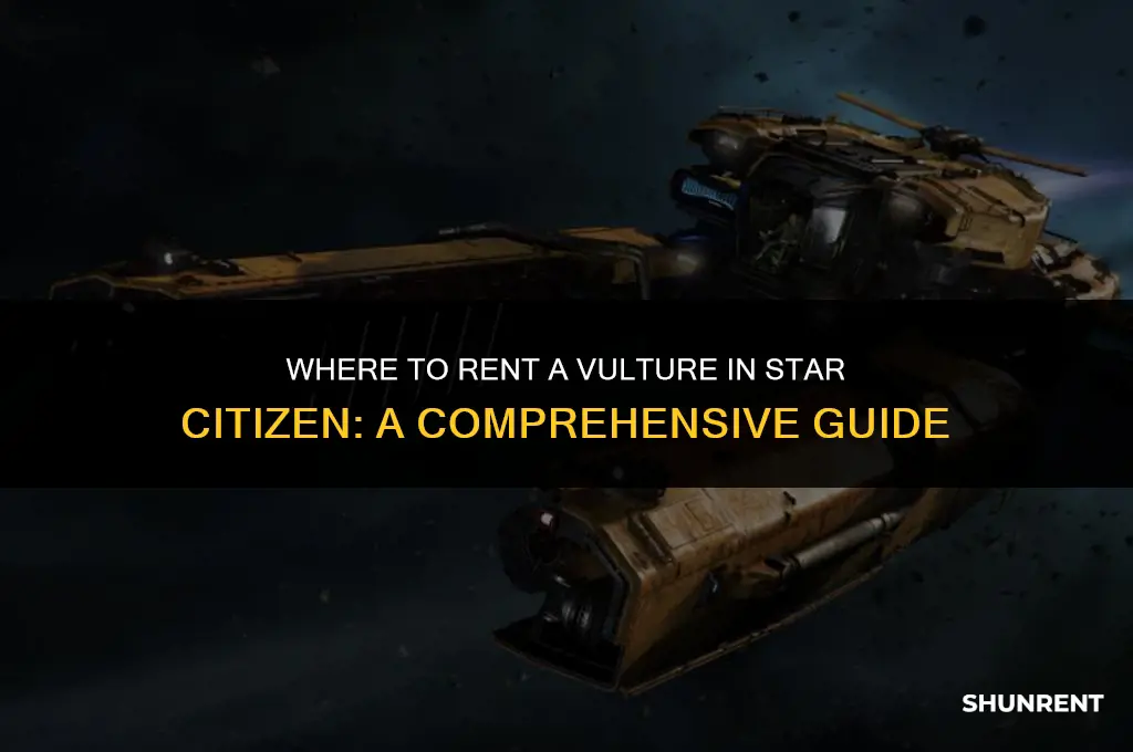 where to rent a vulture star citizen