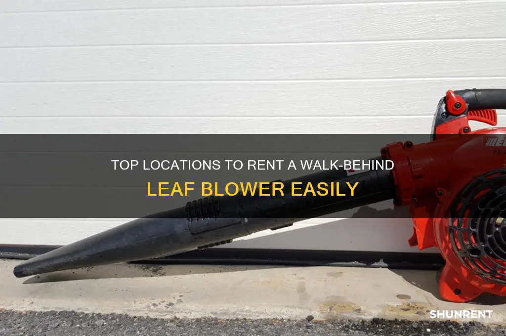 where to rent a walk behind leaf blower