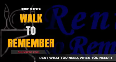 Stroll Down Memory Lane: Renting a Walk to Remember