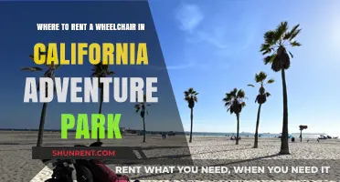 Renting Wheelchairs at California Adventure Park: Your Accessibility Guide