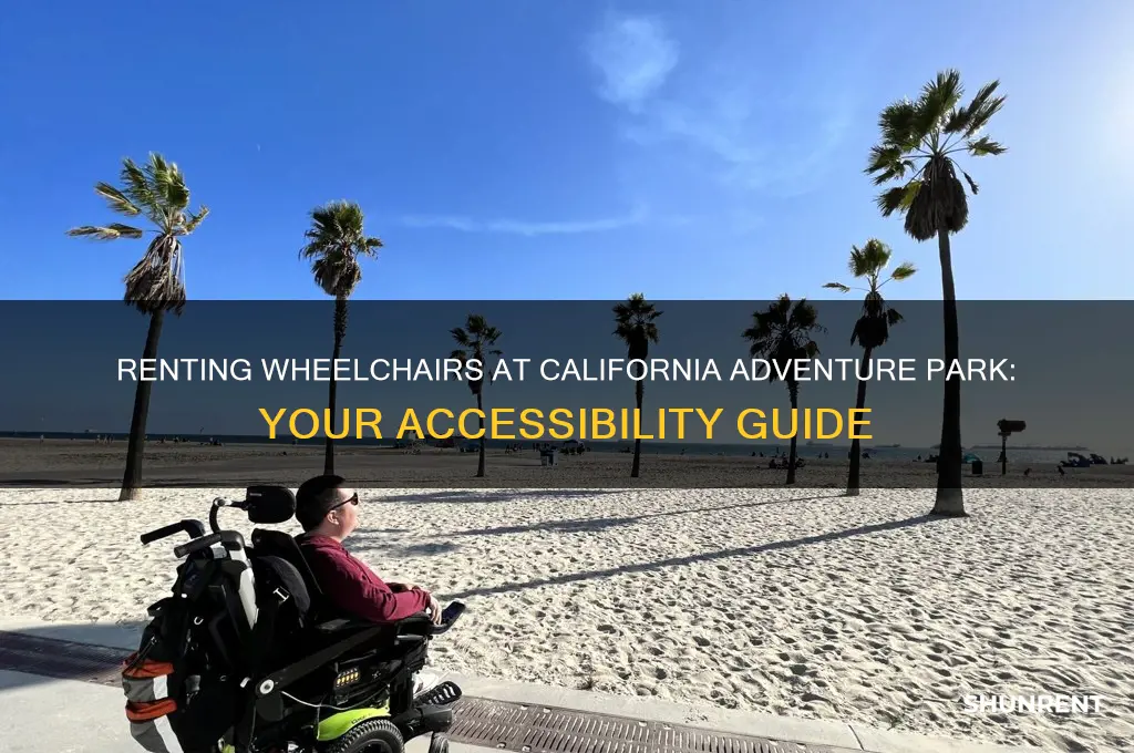 where to rent a wheelchair in california adventure park