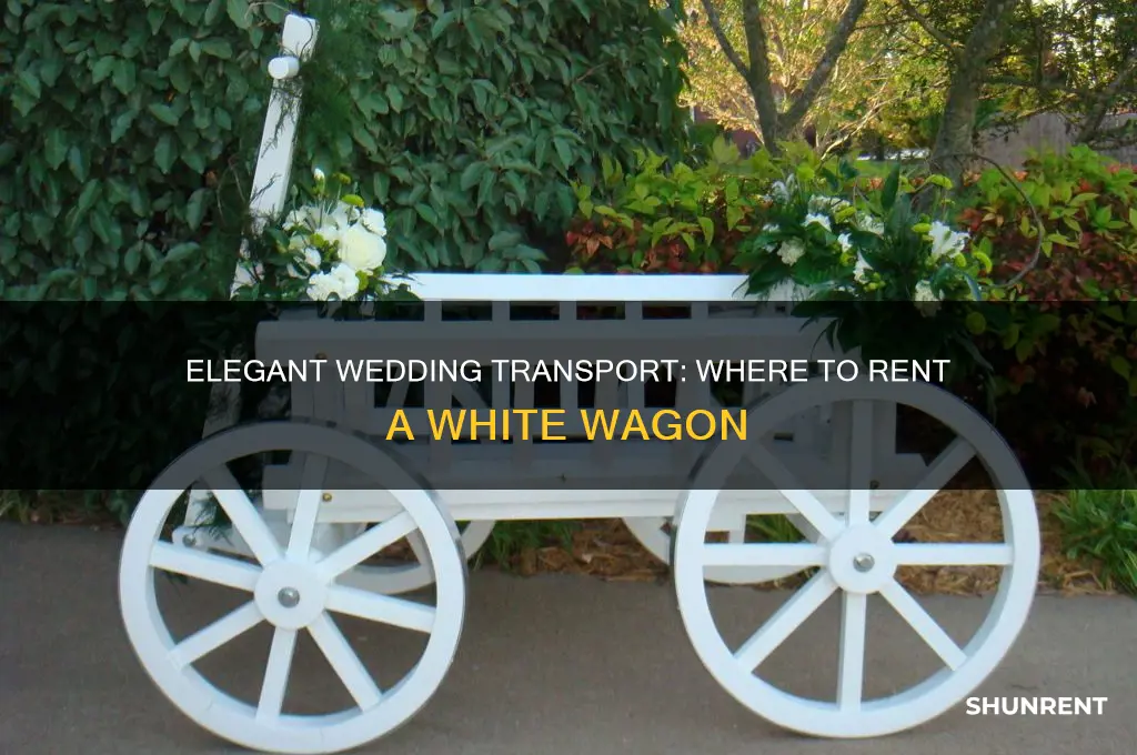 where to rent a white wagon for a wedding