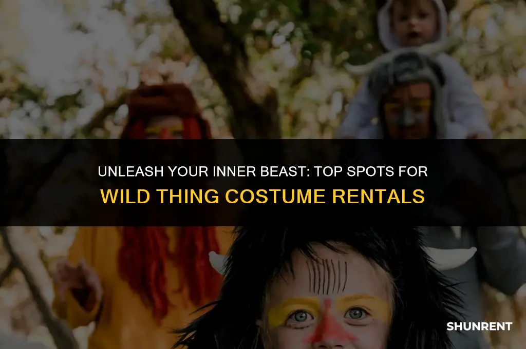 where to rent a wild thing costume