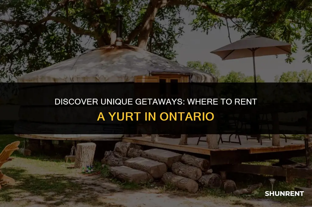 where to rent a yurt in ontario