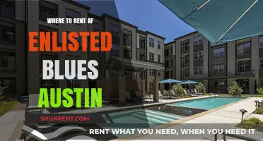 Discovering Austin's Enlisted Blues Scene: A Guide to Rentals