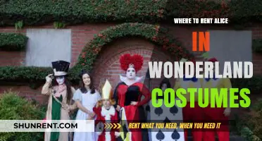 Enchanting Alice in Wonderland Costume Rentals: A Guide