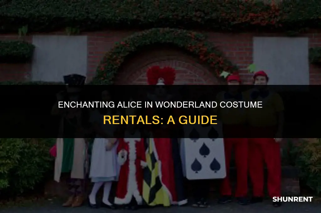 where to rent alice in wonderland costumes