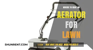 Revitalize Your Lawn: Top Spots to Rent an Aerator Nearby