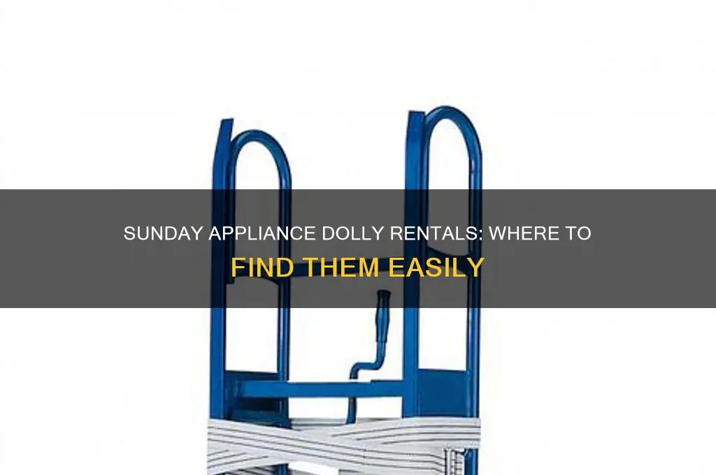 where to rent an appliance dolly on sunday