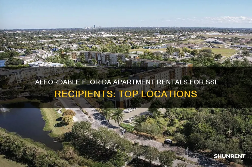 where to rent an apt in fl on ssi