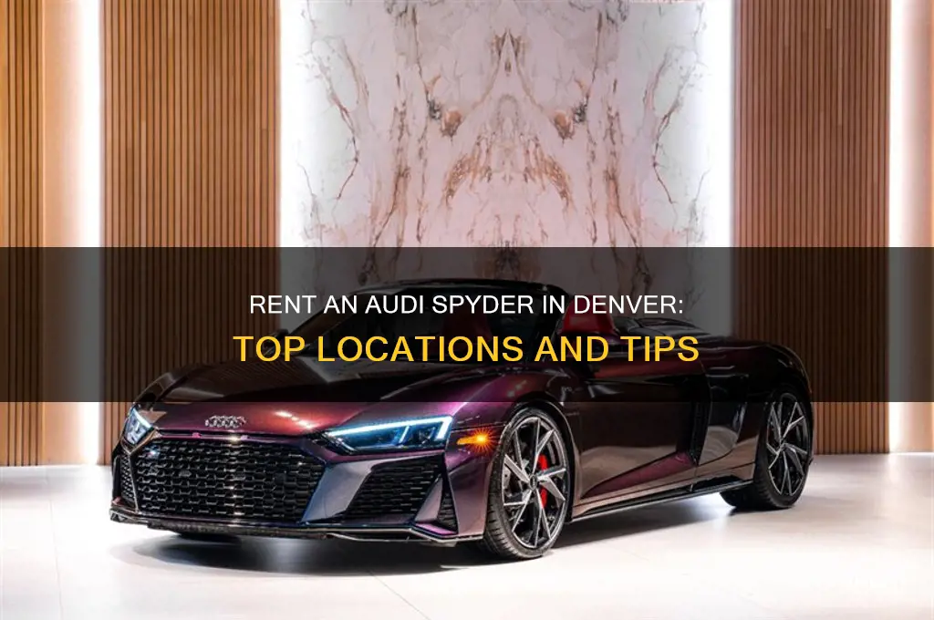 where to rent an audi spyder in denver