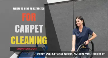 Top Spots to Rent Carpet Cleaning Extractors Near You
