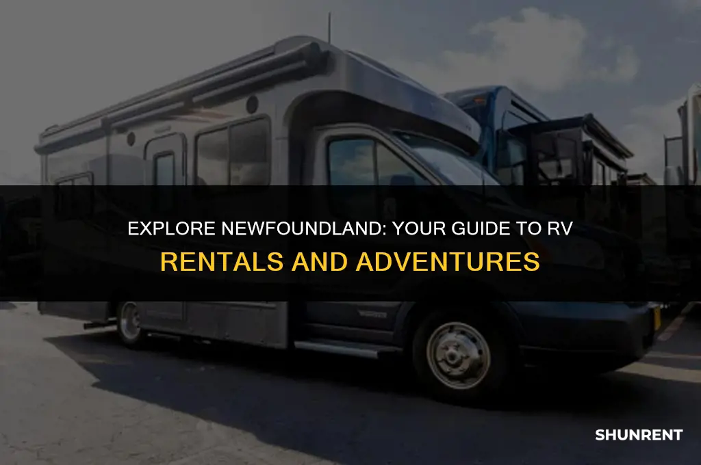 where to rent an rv in newfoundland
