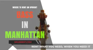 Renting an Upright Bass in Manhattan: Top Locations Guide