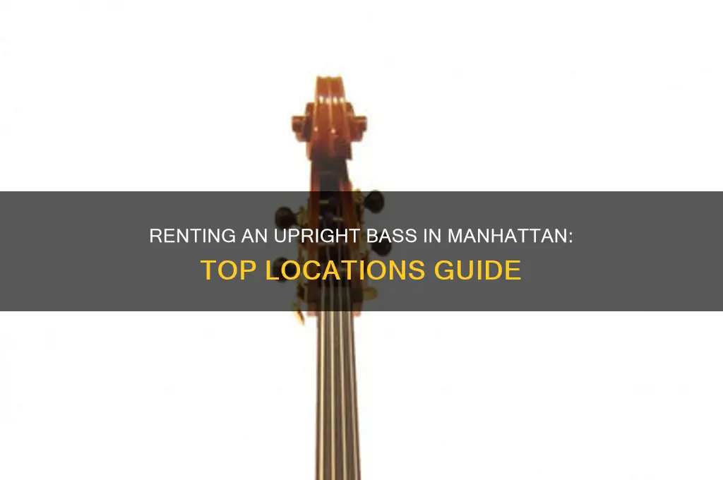 where to rent an upright bass in manhattan
