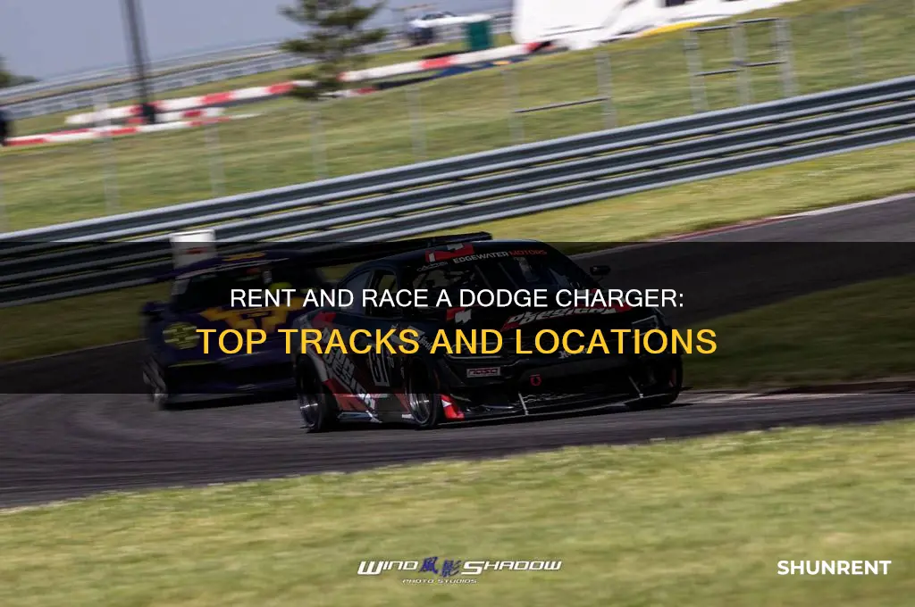 where to rent and race a dodger charger