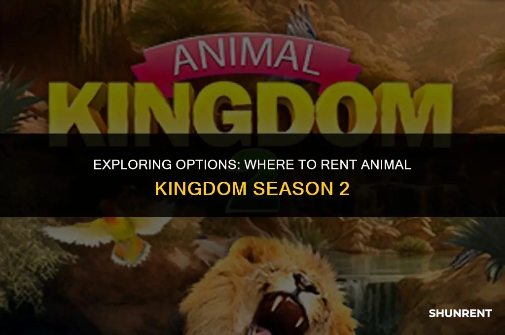 where to rent animal kingdom season 2