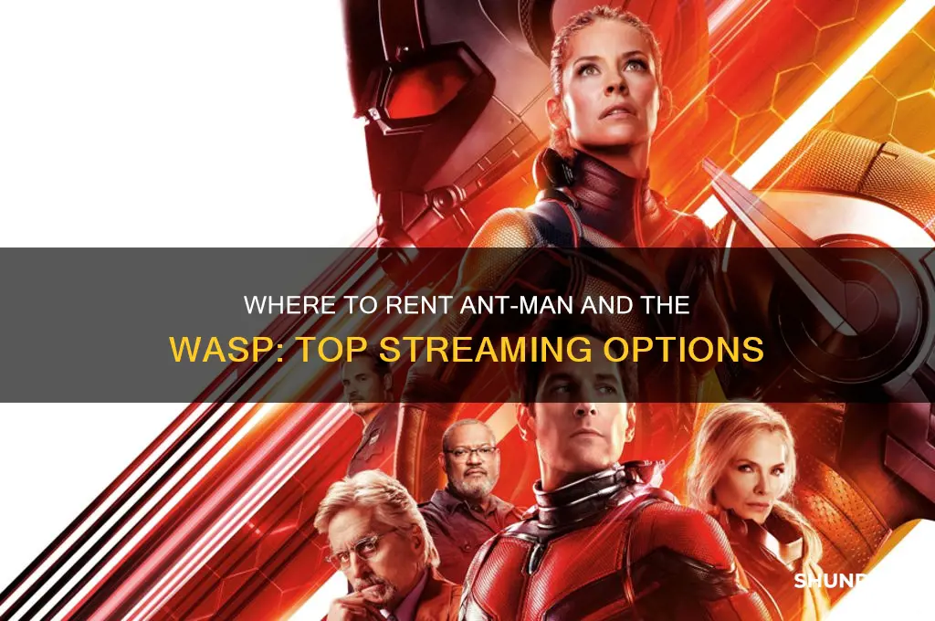 where to rent ant man and the wasp