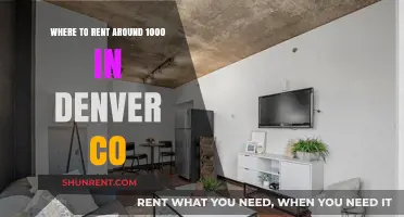 Affordable Denver Living: Top Rental Options Under $1000 Monthly